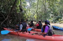 2-Hour Kayak Tour in Quepos