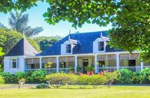 Mauritian Culinary Experience - Full Day with Lunch
