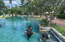 Private Half-Day Scuba Diving with expert (1Dive)
