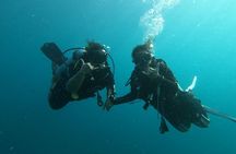 Private Half-Day Scuba Diving with expert (1Dive)