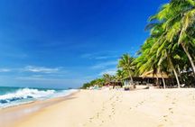 Ho Chi Minh: Bestseller Top Site Must See Mui Ne Discovery