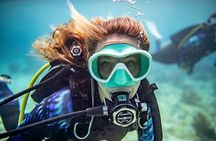 Try Dive - PADI Discover Scuba Diving in Tenerife