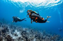 Try Dive - PADI Discover Scuba Diving in Tenerife