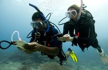 4 Day Certified PADI Open Water Scuba Diver in Dubai