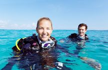 4 Day Certified PADI Open Water Scuba Diver in Dubai