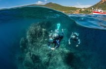 guided Scuba Diving on Tenerife (for certified divers)