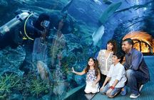 Dubai Mall Aquarium & Underwater Zoo Ticket with Private Transfer