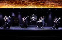 Michelangelo Show with Optional Dinner in Buenos Aires