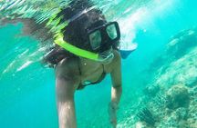 Exciting Speedboat & Snorkeling Tour in Cancun Lagoon!