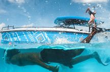 Private Half Day Luxury Snorkeling Charter