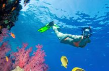 Puerto Morelos Catamaran Reef Sail and Snorkel