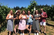 Kelowna Wine Tour - Okanagan Vineyards