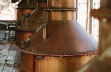 Full-Day Tour in Tequila factory and Cantaritos el Gúero