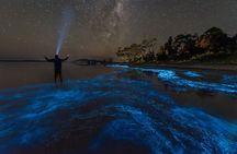 Florida Bioluminescent Kayak & Paddle Board Adventure 