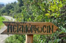 Half-Day Private Walking Tour along the Orthodox Gorge