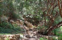 Half-Day Private Walking Tour along the Orthodox Gorge