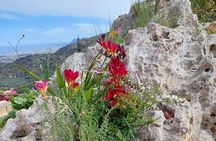 Half-Day Private Walking Tour along the Orthodox Gorge