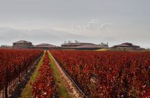 Wine Tour with Lunch and Transport in Mendoza
