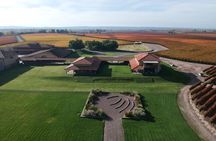 Bodegas & Olivares 1/2 day without lunch