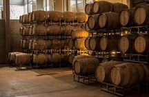 Bodegas & Olivares 1/2 day without lunch