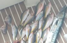 Bahamas Deep Sea Fishing