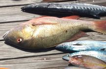 Bahamas Deep Sea Fishing
