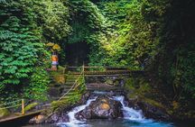 Bedugul and Singaraja Tour