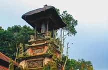 Jatiluwih Batukaru Mountain Nature's Best Tour
