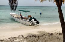 Punta Cana: Saona Island Food And Drink Catamaran Hotel Pickup