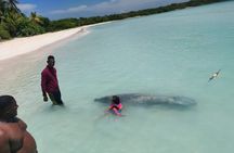 Punta Cana: Saona Island Food And Drink Catamaran Hotel Pickup