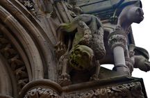 Heritage Dunedin City Walking Guided Tour