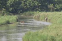 Bardia National Park Jungle Safari Tour Package - 3 Nights 4 Days