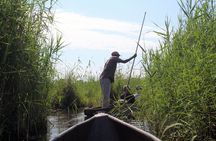 7 Day Moremi Okavango Delight