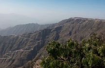Full Day Historical & Rijal Almaa Tour