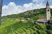 Small Group Tour with Prosecco Wine Tasting from Venice