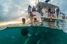 Full Day Private Catamaran Cruise to Bénitiers Island
