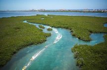 Speedboat Across the Mangroves and Parasailing in Cancun