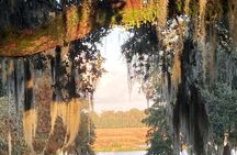 Lowcountry History Strolls