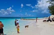 Rose Island Swimming Pigs Half-Day Boat Tour with Lunch