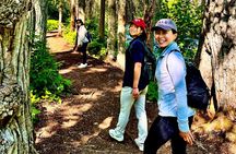 Ride & Roam: Mystery Sightseeing Tour