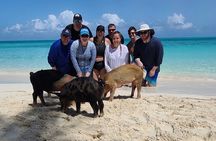 Be Your Own Captain Adventure in Nassau