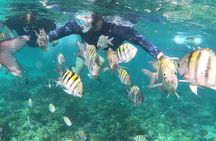 Be Your Own Captain Adventure in Nassau