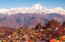 Annapurna Mardi Himal Trekking - 12 Days