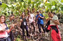 Inca Jungle Trail to Machu Picchu 3 days and 2 nights with Dome
