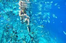 Half-Day Private Guided Snorkeling Turtles Underwater Statues 