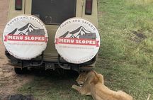 6 Days Tanzania Budget Camping Safari with Migration 