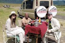 3 Days Serengati and Ngorongoro crate group tour and safari
