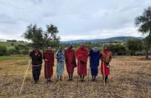 3 Days Serengati and Ngorongoro crate group tour and safari