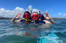 Snorkeling Lesson & Interactive Experience for Kids and Adults 
