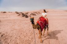 Private Desert Safari to Khor Al Adaid: a UNESCO Recognized Natural Reserve